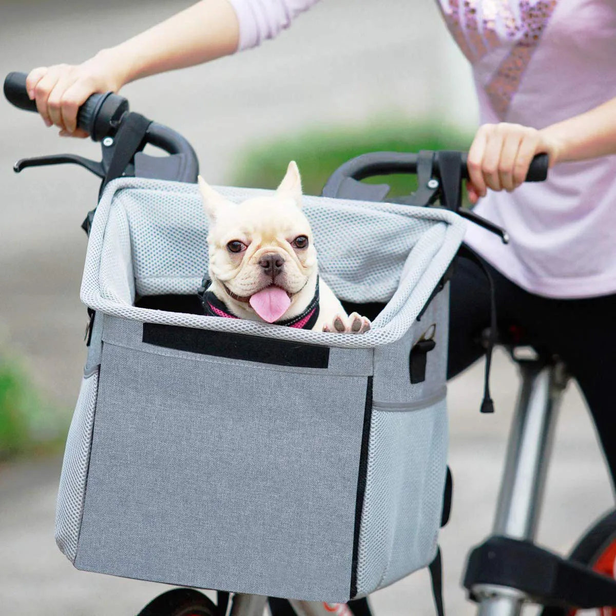 REACH Compliant Pet Bags: EU Chemical Rules - detail view supplied by QUANZHOU JUNYUAN BAGS