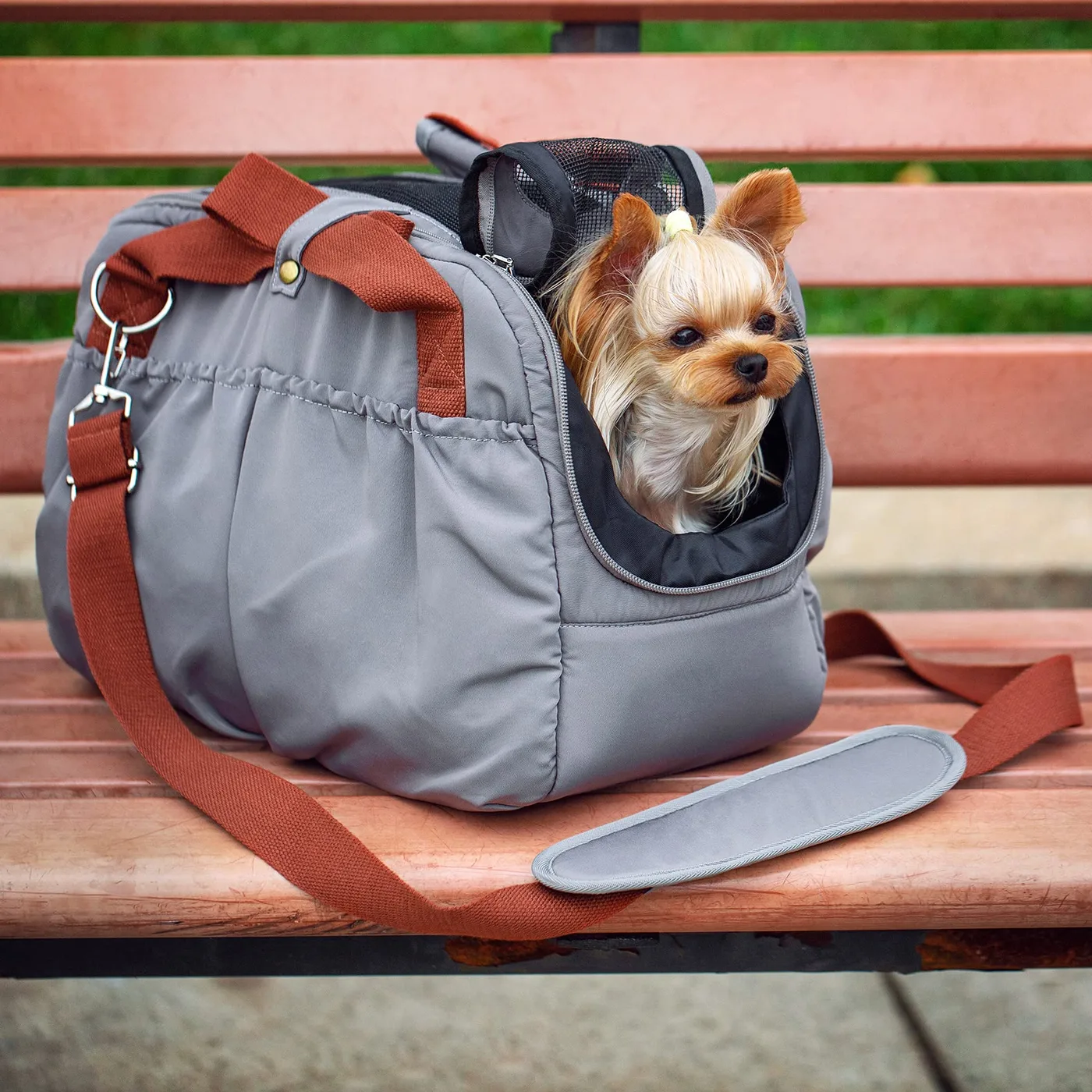 SGS Tested Pet Bags: Quality Certification Guide - detail view supplied by QUANZHOU JUNYUAN BAGS