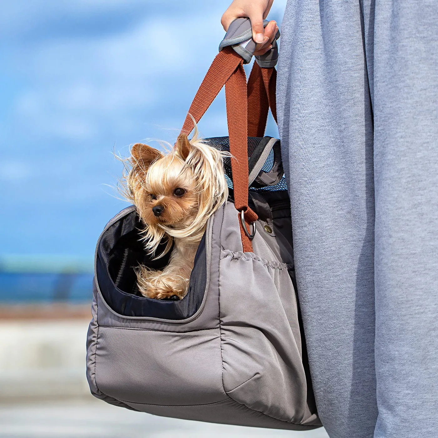 ISO 9001 Pet Bag Manufacturer: Quality Management - detail view supplied by QUANZHOU JUNYUAN BAGS