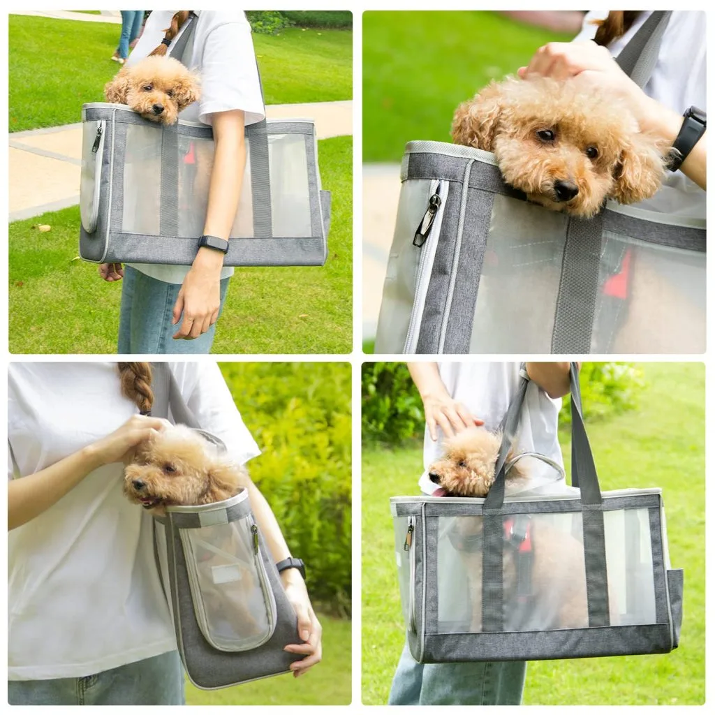 Pet College Bag: Student Style Sourcing Guide - detail view supplied by QUANZHOU JUNYUAN BAGS